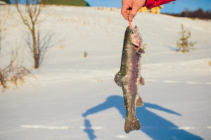 winter fishing tips 